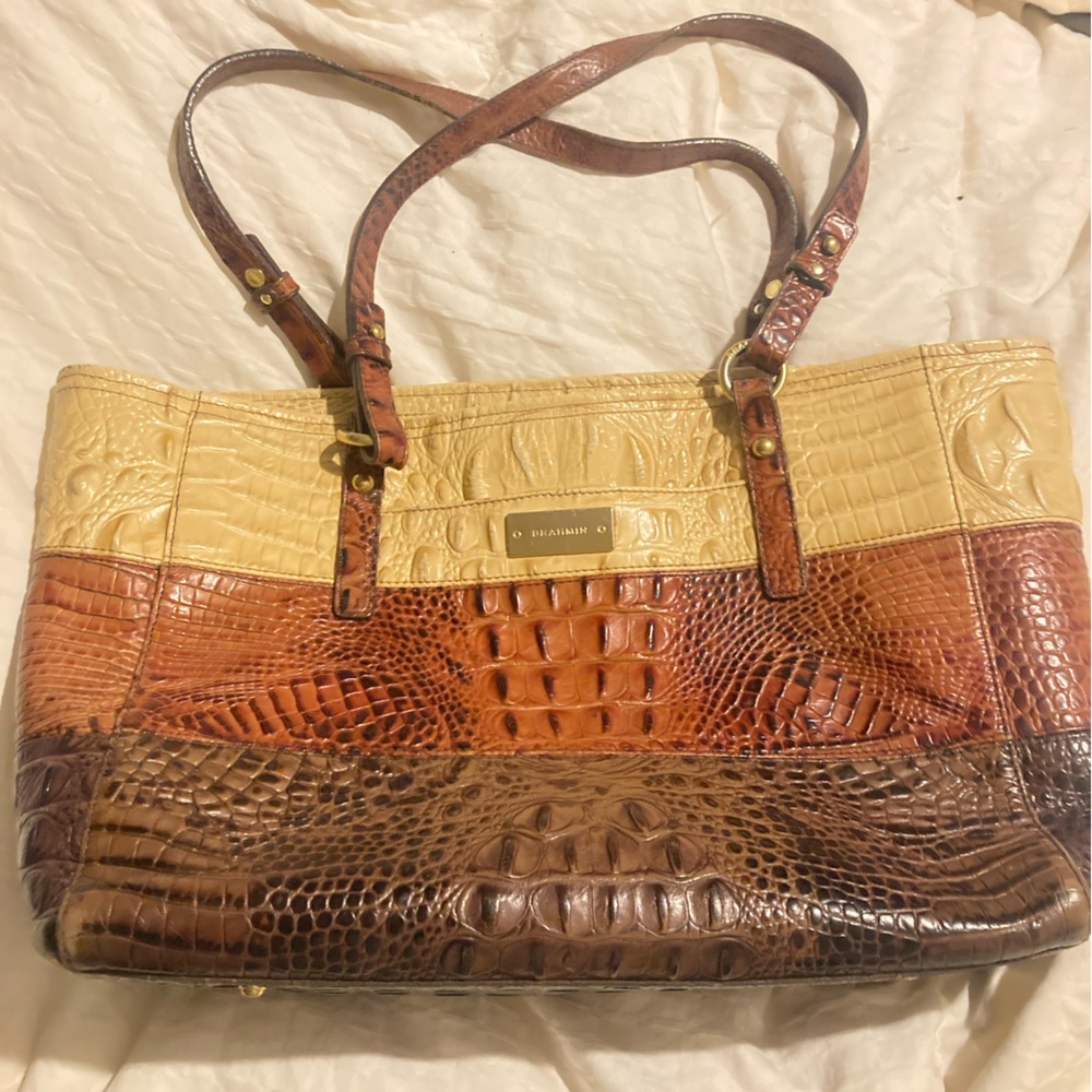Brahmin tote/purse
